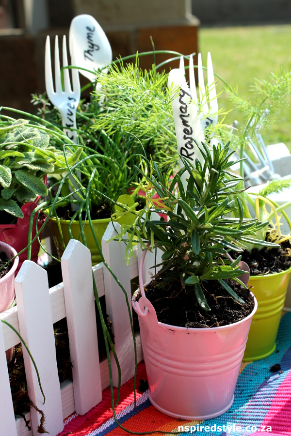 Herb Gift3