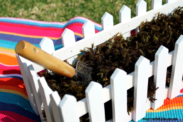 Herbs2